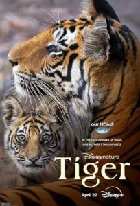 دانلود فیلم ببر Tiger 2024